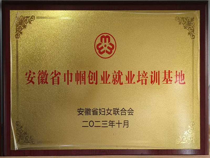 安徽省巾帼创业就业培...